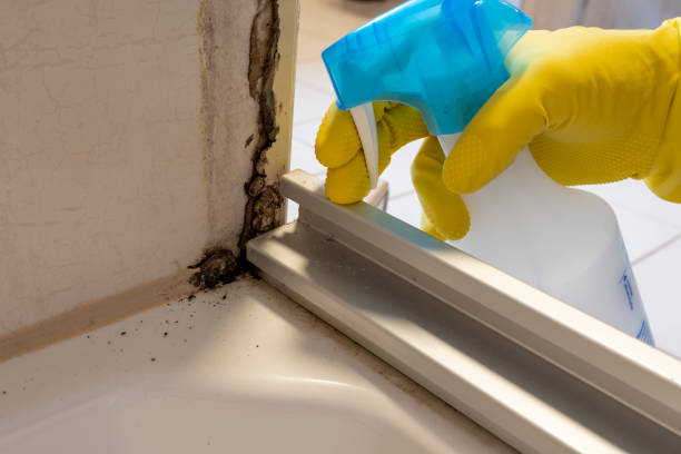 Best Residential Mold Removal  in Gueydan, LA