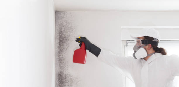 Best Mold Cleaning Services  in Gueydan, LA
